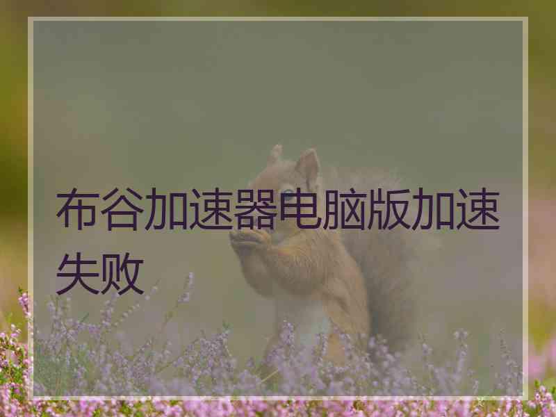 布谷加速器电脑版加速失败 布谷加速器电脑版加速失败