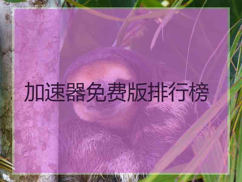 加速器免费版排行榜