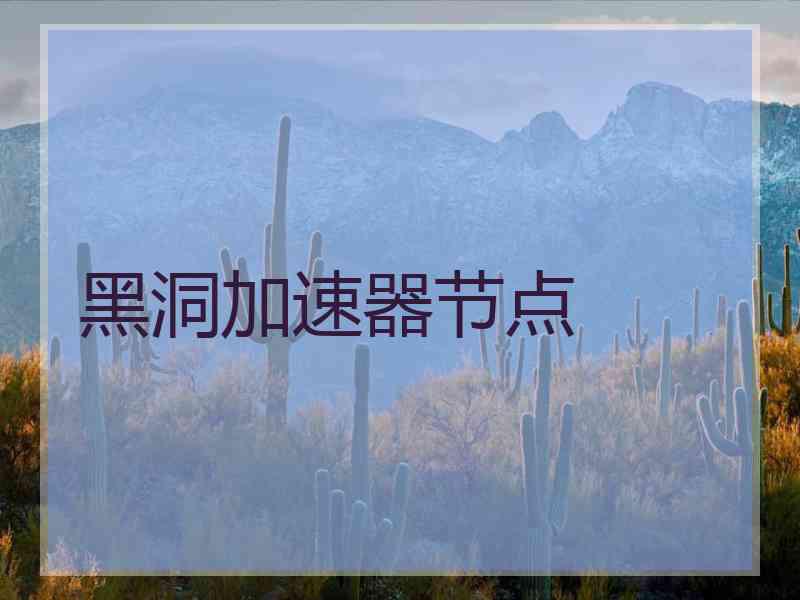 黑洞加速器节点