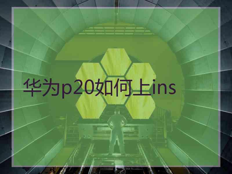 华为p20如何上ins