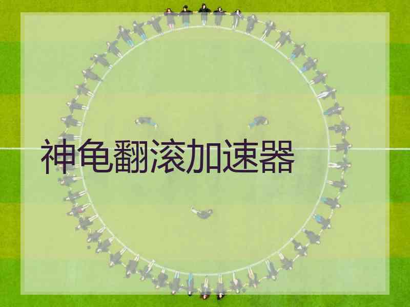 神龟翻滚加速器