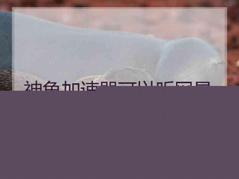 神龟加速器可以听网易音乐吗