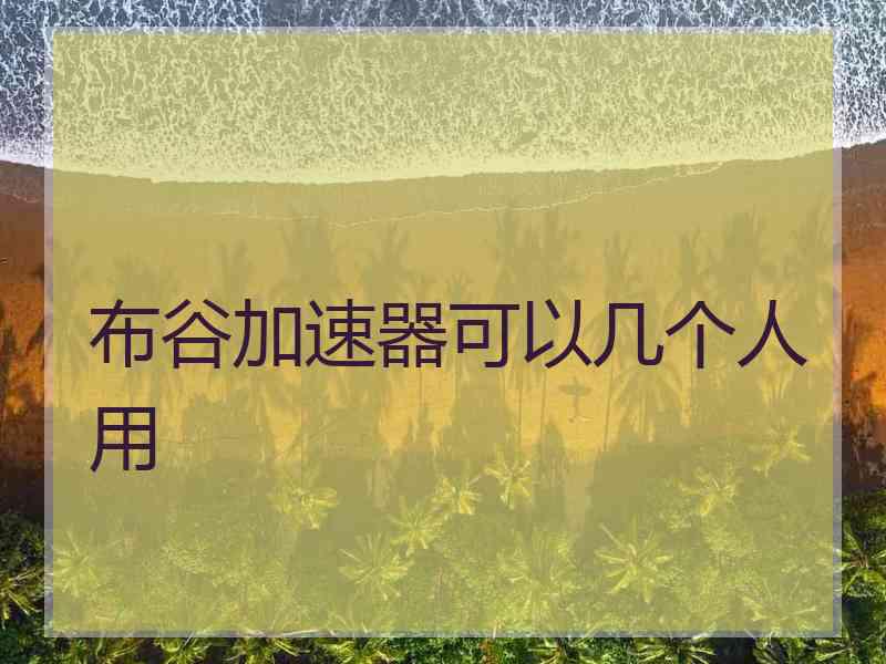 布谷加速器可以几个人用