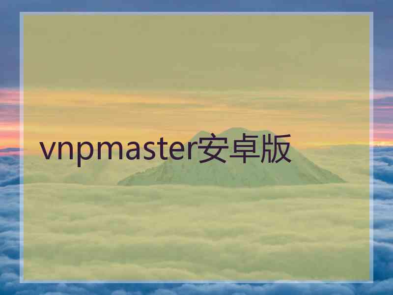 vnpmaster安卓版
