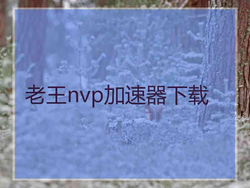 老王nvp加速器下载