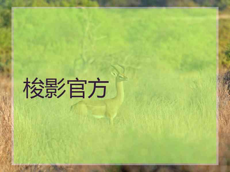 梭影官方