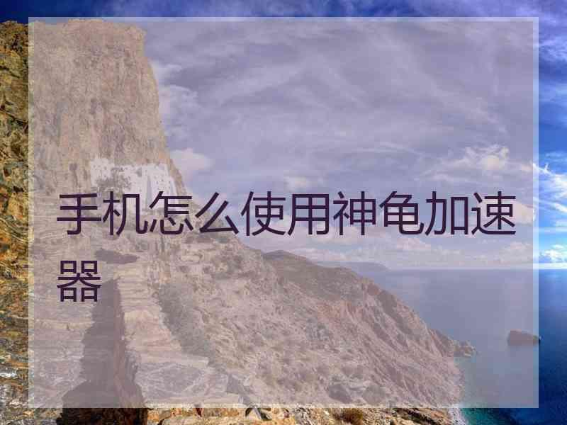 手机怎么使用神龟加速器