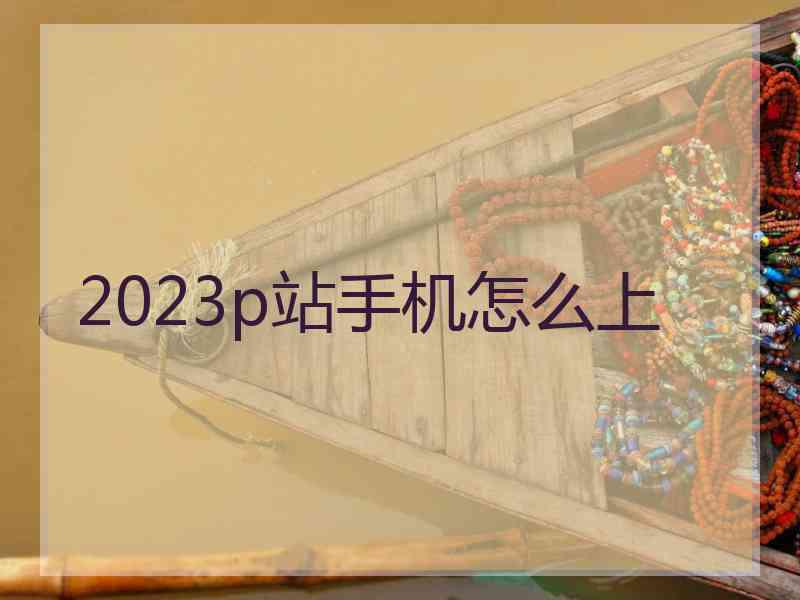 2023p站手机怎么上