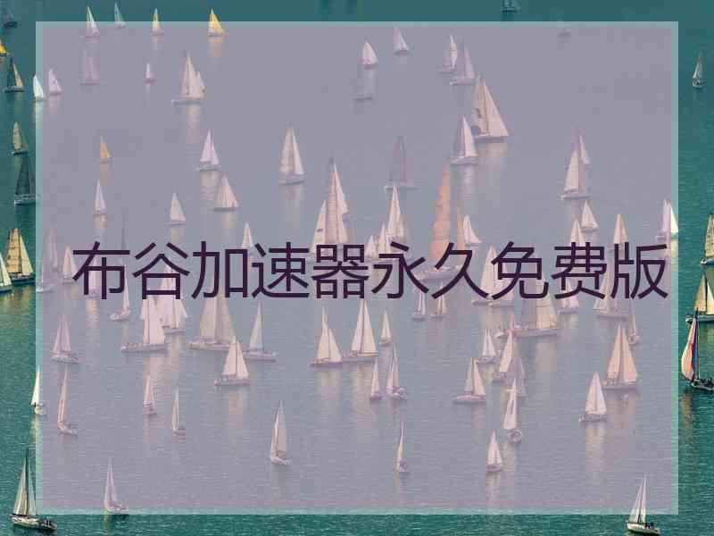 布谷加速器永久免费版
