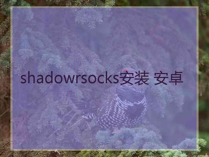 shadowrsocks安装 安卓