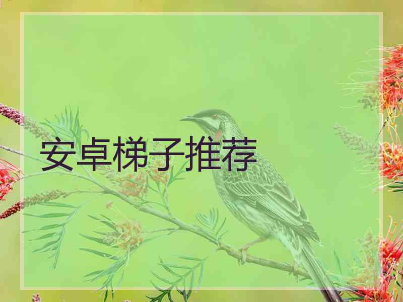 安卓梯子推荐